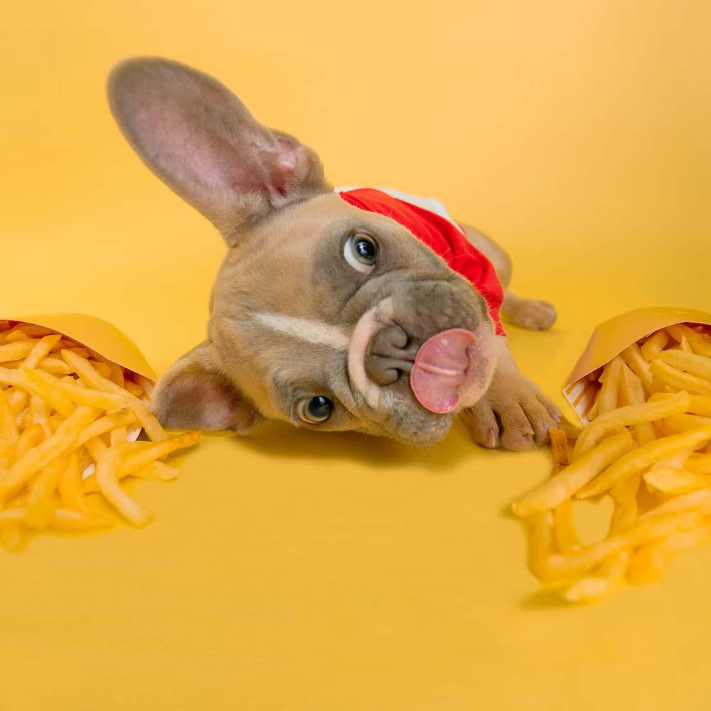 اینستاگرام 58