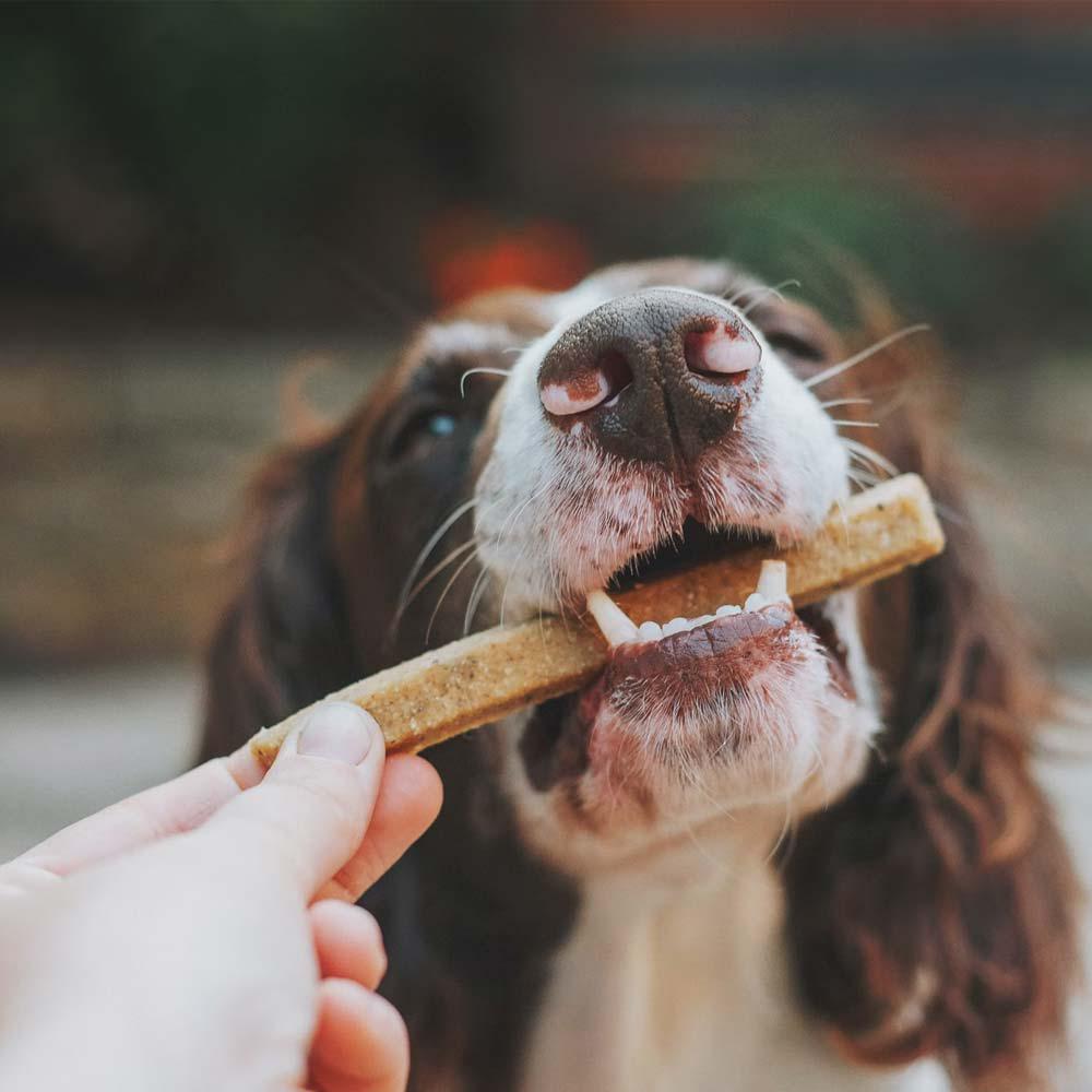 اینستاگرام 54