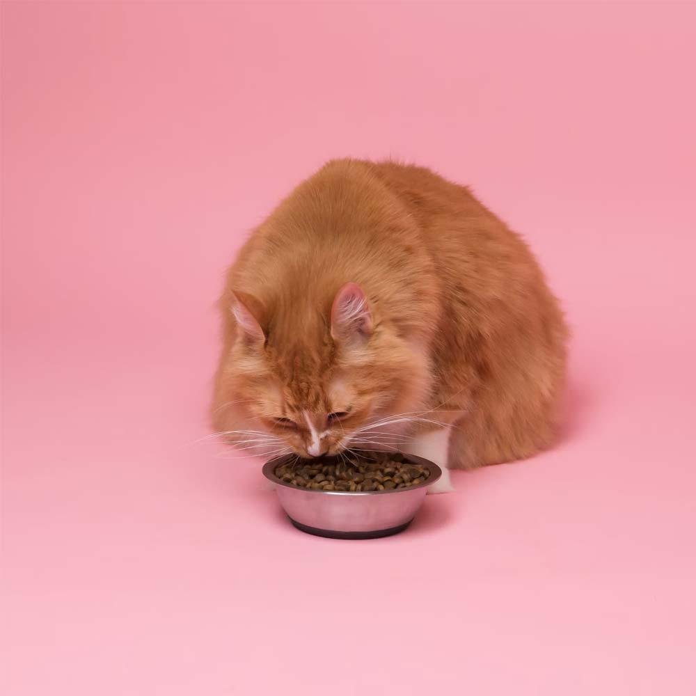 اینستاگرام 59